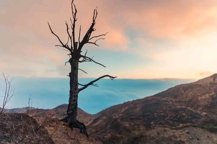 The Ultimate 15-Day Vietnam Adventure: Halong Bay Kayaking, Fansipan Peak Conquest, and Ban Ho Cultural Trek